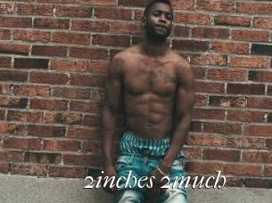 2inches_2much