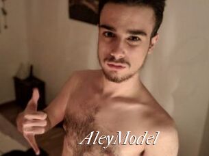 AleyModel