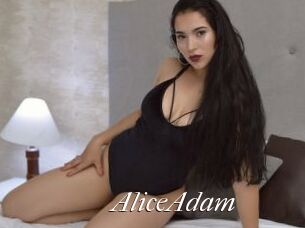 AliceAdam