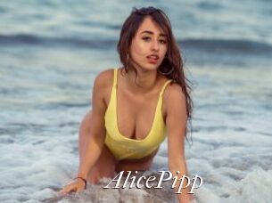 AlicePipp
