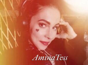 AminaTess
