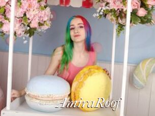 AmiraRoof