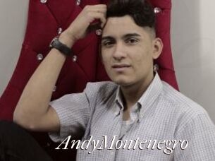 AndyMontenegro