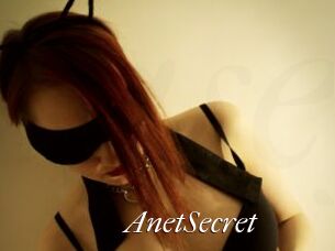 AnetSecret