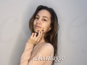 Accabigge