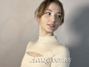 Accagroomes