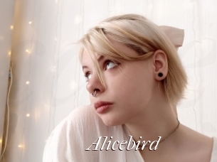 Alicebird