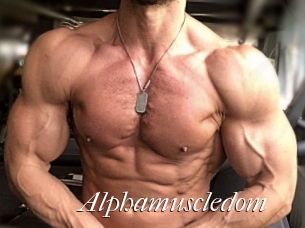 alphamuscledom Cam Sexy