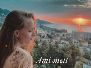 Amismett