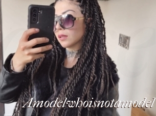 Amodelwhoisnotamodel