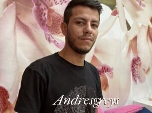 Andresgreys