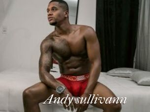 Andy_sullivann