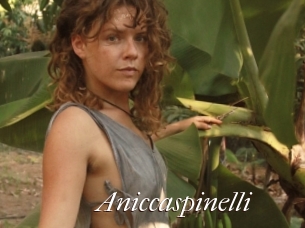 Aniccaspinelli