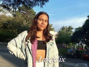 Aniefelix