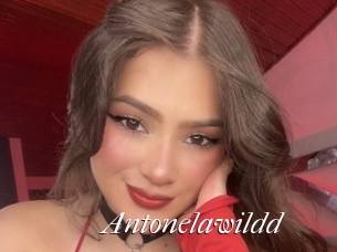 Antonelawildd