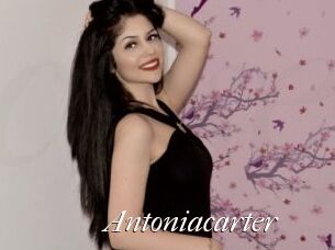 antoniacarter Cam Sexy