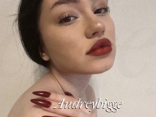 Audreybigge
