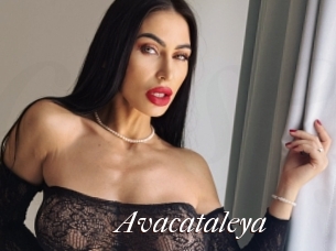 Avacataleya