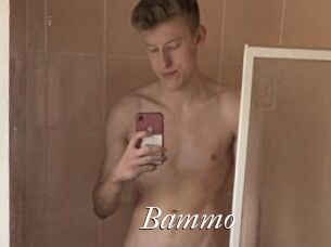 Bammo