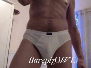 BarepigOWL