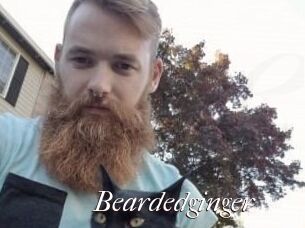 Beardedginger