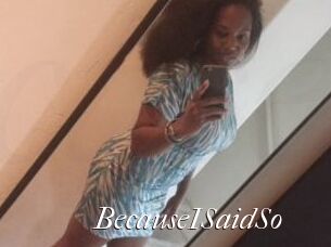 BecauseISaidSo