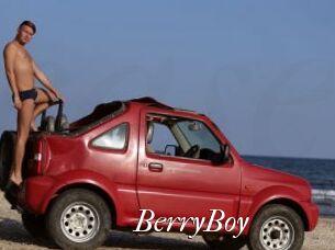 BerryBoy