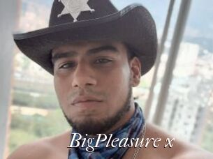 BigPleasure_x
