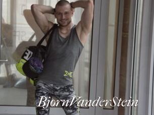 BjornVanderStein