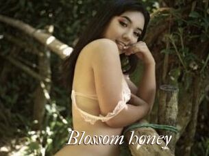 Blossom_honey