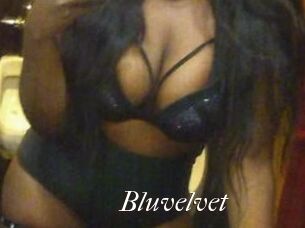 Bluvelvet
