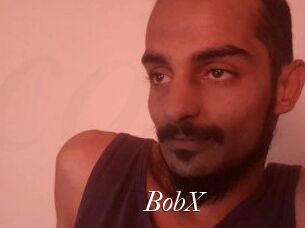 BobX