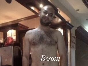Bosom