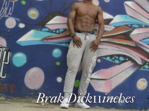 Brak_Dick11inches
