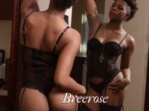 Breerose Cam Sexy