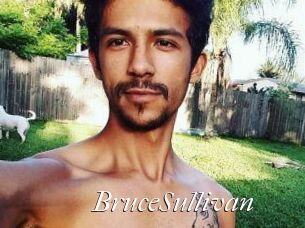 Bruce_Sullivan