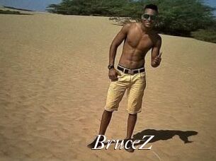 BruceZ