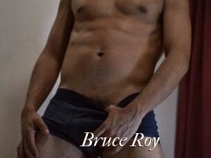 Bruce_Roy