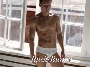 BucksBunny