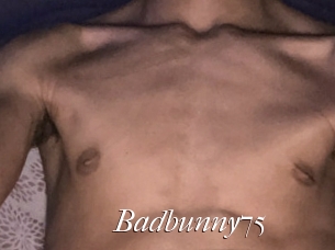 Badbunny75