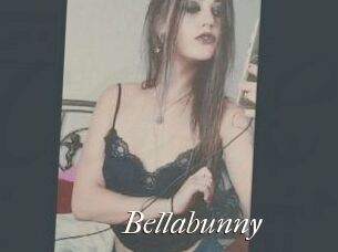 Bella_bunny