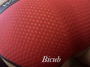 Bicub