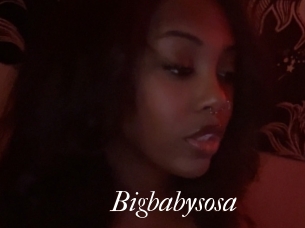 Bigbabysosa