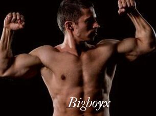 Bigboyx