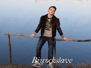 Bigcockslave