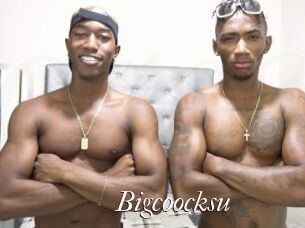Bigcoocksu