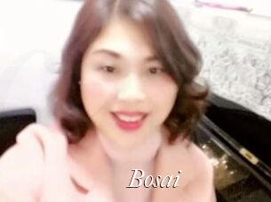 Bosai