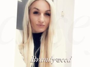 Brandyweed