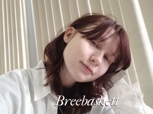Breebaskett