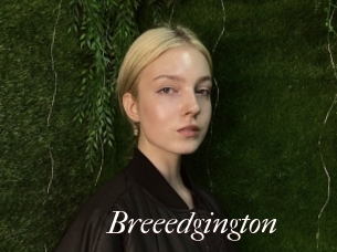Breeedgington